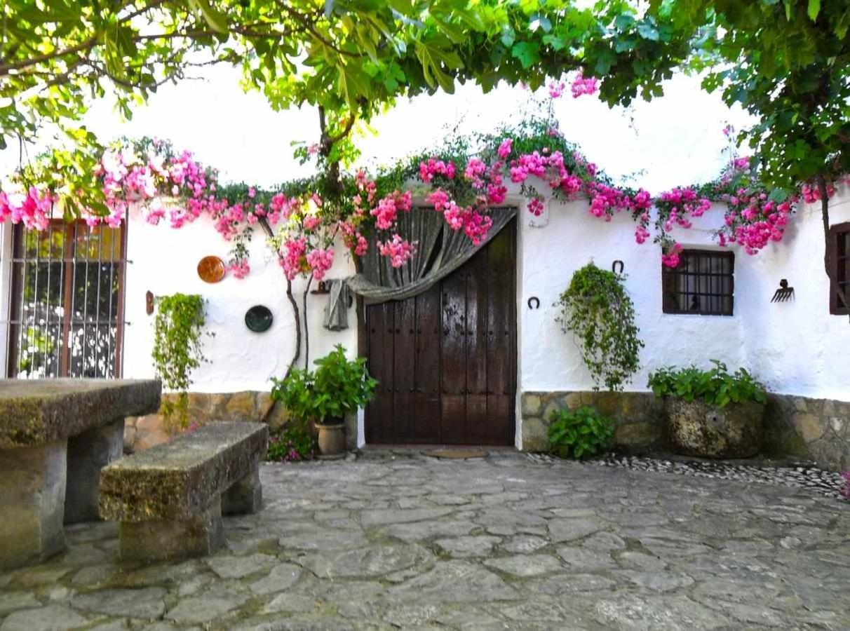 Cortijo La Gineta Konuk evi Alcalá la Real Dış mekan fotoğraf