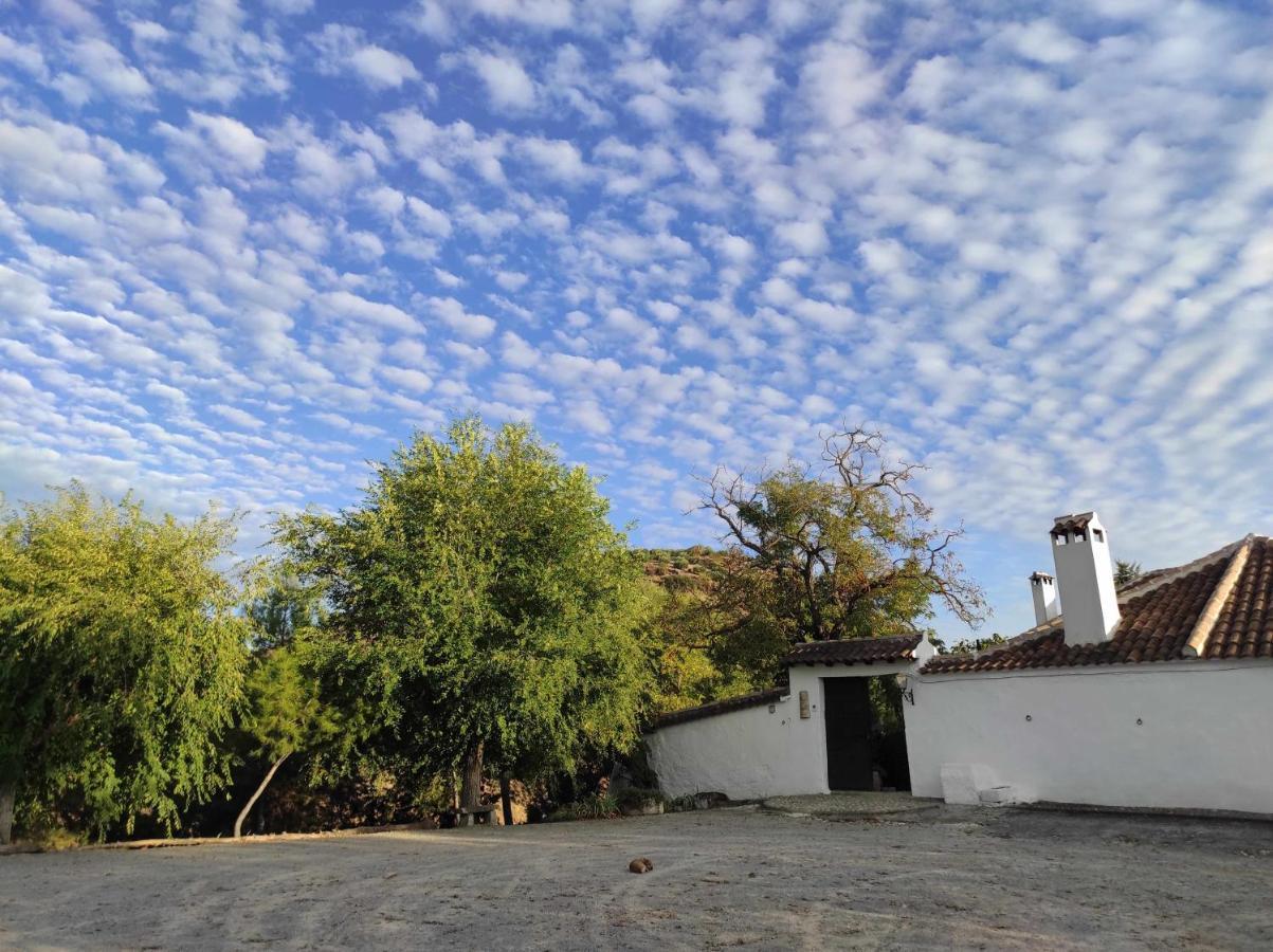Cortijo La Gineta Konuk evi Alcalá la Real Dış mekan fotoğraf